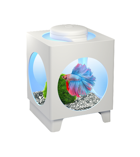 Tetra Betta Projector white