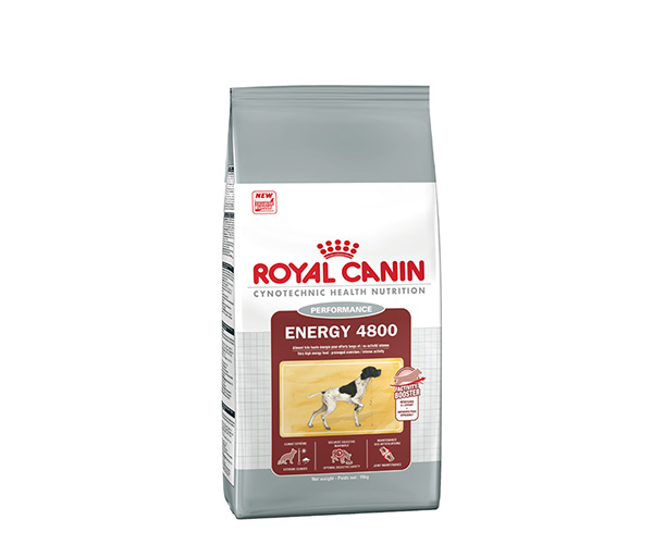 Royal Canin Energy 4800 - Зоомагазин R-cat.by