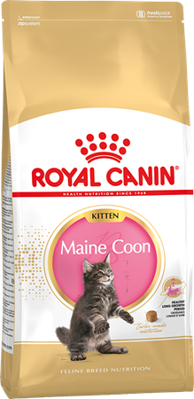 Royal Canin Kitten Maine Coon - Зоомагазин R-cat.by