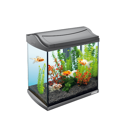 Tetra AquaArt LED Aquarium 30L Goldfish