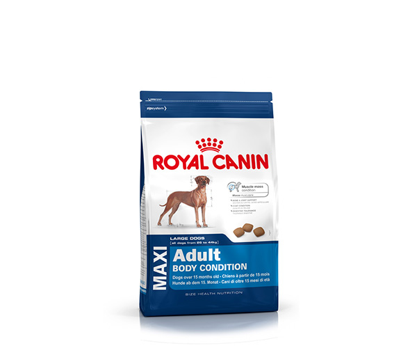 Royal Canin Maxi Adult Body Condition - Зоомагазин R-cat.by