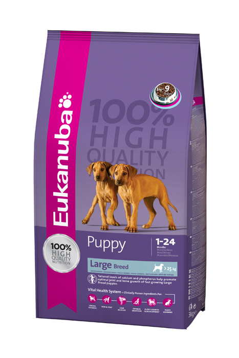 Eukanuba Puppy&Junior Large Breed