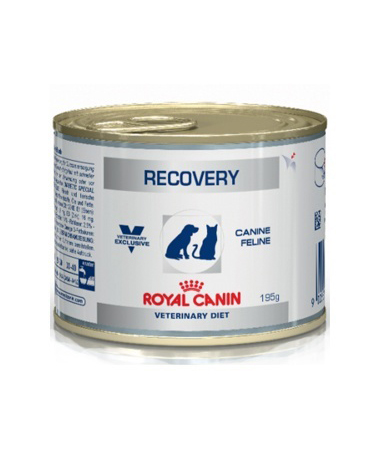 Royal Canin Recovery Feline