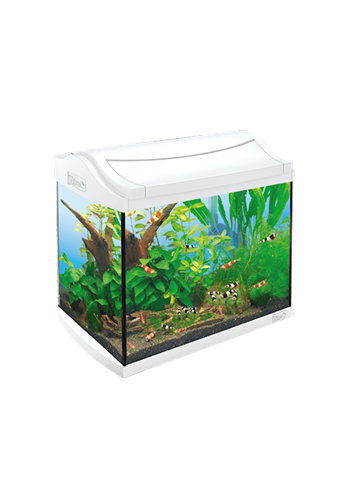 Tetra AquaArt Aquarium Complete Set Discover Line