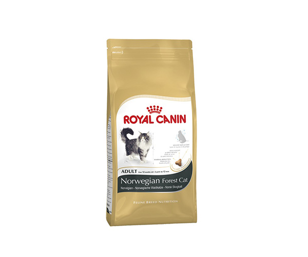 Royal Canin Norwegian Forest Cat Adult - Зоомагазин R-cat.by