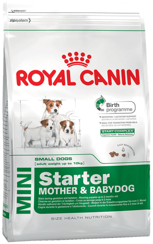 Royal Canin Mini Starter - Зоомагазин R-cat.by