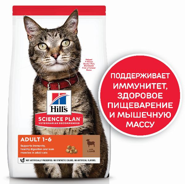 Hill's Science Plan Optimal Care для взрослых кошек (ягненок) - Зоомагазин R-cat.by