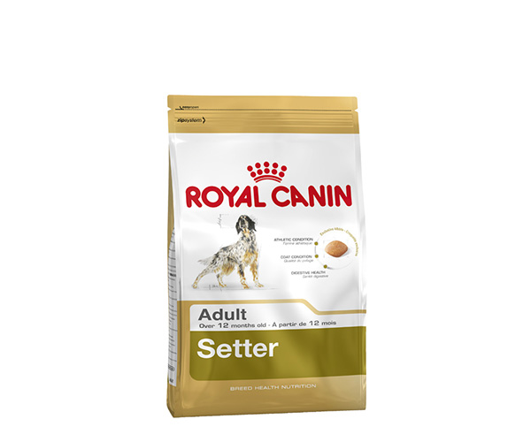 Royal Canin Setter Adult - Зоомагазин R-cat.by