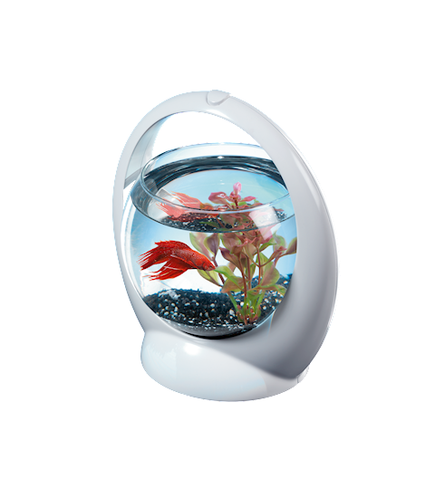 Tetra Betta Ring - Зоомагазин R-cat.by