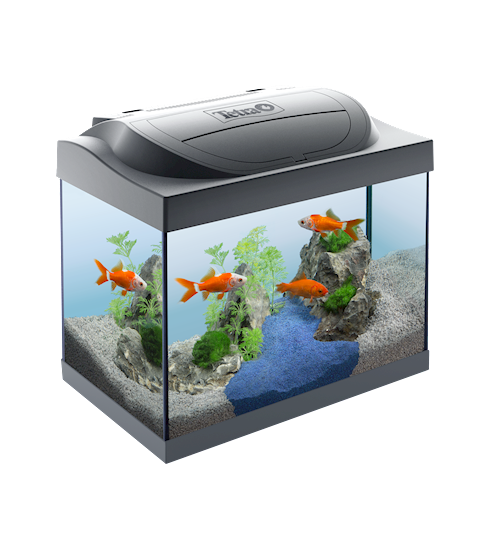 Tetra Starter Line LED 30L Goldfish