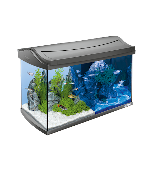 Tetra AquaArt LED Aquarium - Зоомагазин R-cat.by