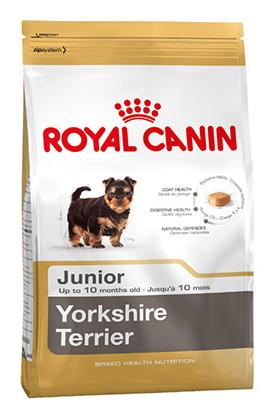 Royal Canin Yorkshire Terrier Junior - Зоомагазин R-cat.by