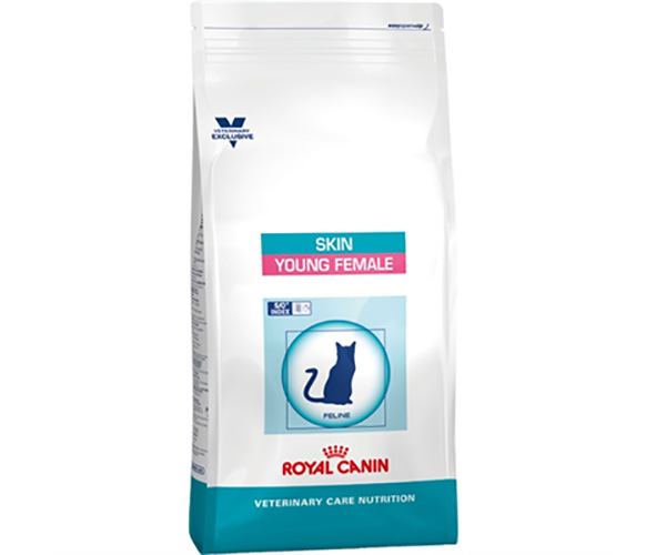 Royal Canin Skin Young Female - Зоомагазин R-cat.by