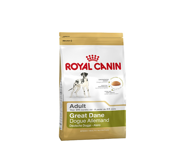 Royal Canin Great Dane Adult - Зоомагазин R-cat.by