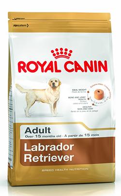 Royal Canin Labrador Retriever Adult - Зоомагазин R-cat.by