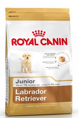 Royal Canin Labrador Retriever Junior - Зоомагазин R-cat.by