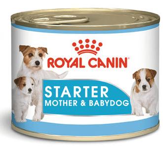 Royal Canin Starter Mother & Babydog - Зоомагазин R-cat.by