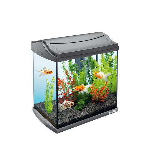 Tetra AquaArt Aquarium Complete Set Discover Line Black