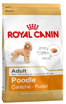 Royal Canin Poodle Adult - Зоомагазин R-cat.by