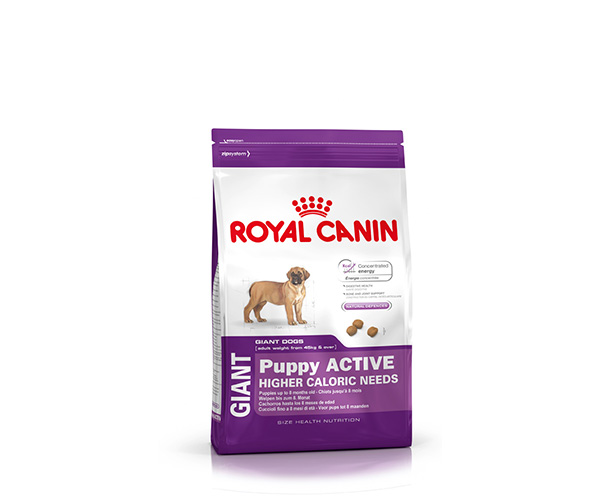 Royal Canin Giant Puppy Active - Зоомагазин R-cat.by