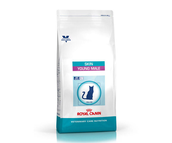 Royal Canin Skin Young Male - Зоомагазин R-cat.by