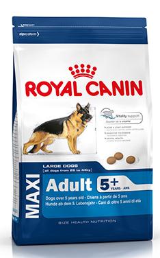 Royal Canin Maxi Adult 5+ - Зоомагазин R-cat.by