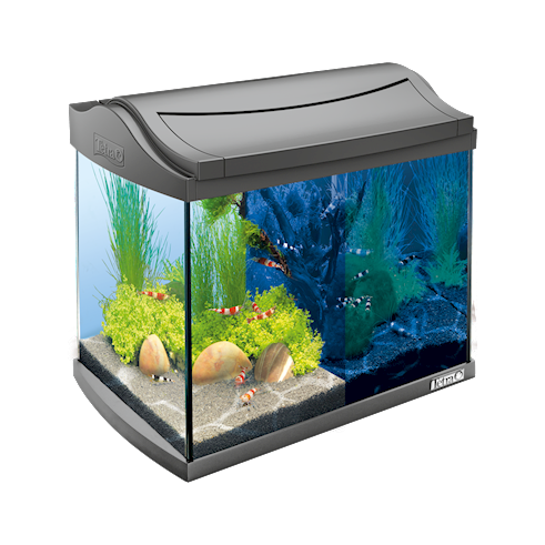 Tetra AquaArt LED Aquarium - Зоомагазин R-cat.by