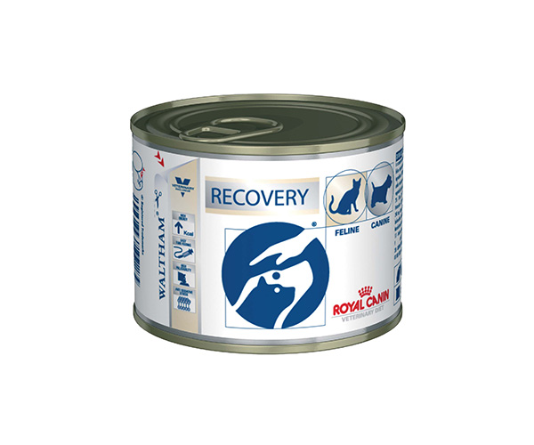 Royal Canin Recovery - Зоомагазин R-cat.by