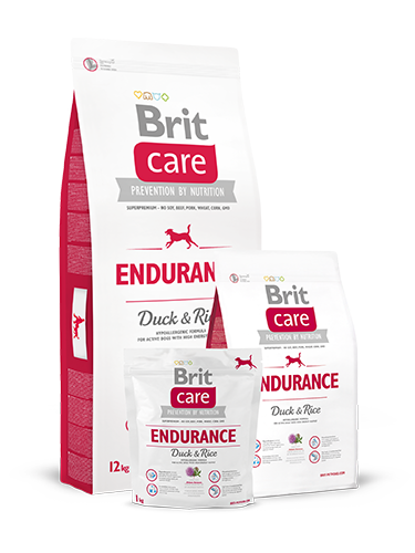 Brit Care Endurance