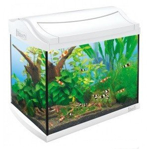 AquaArt Aquarium-Set white - Зоомагазин R-cat.by