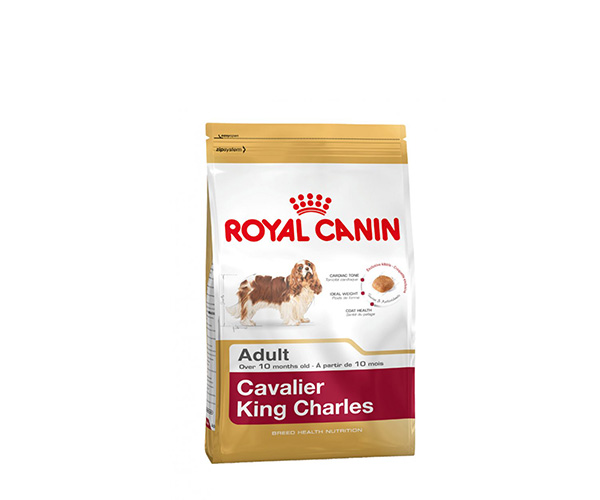 Royal Canin Cavaler King Charles Adult - Зоомагазин R-cat.by