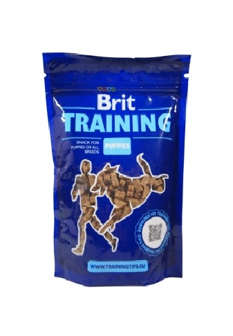 Brit Training Puppies