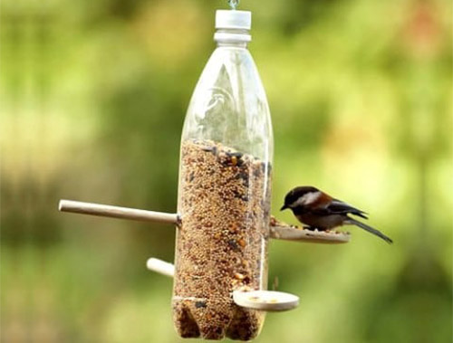 18-birdfeeder.jpg